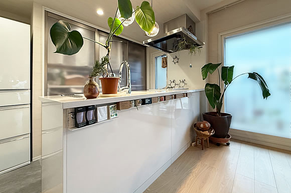 タカラスタンダード「レミュー」